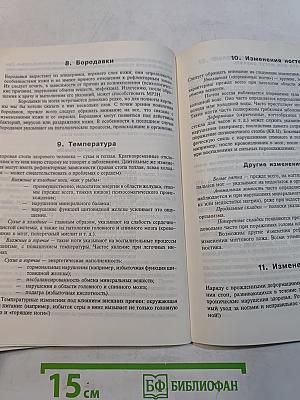 Исцеляющие ноги
