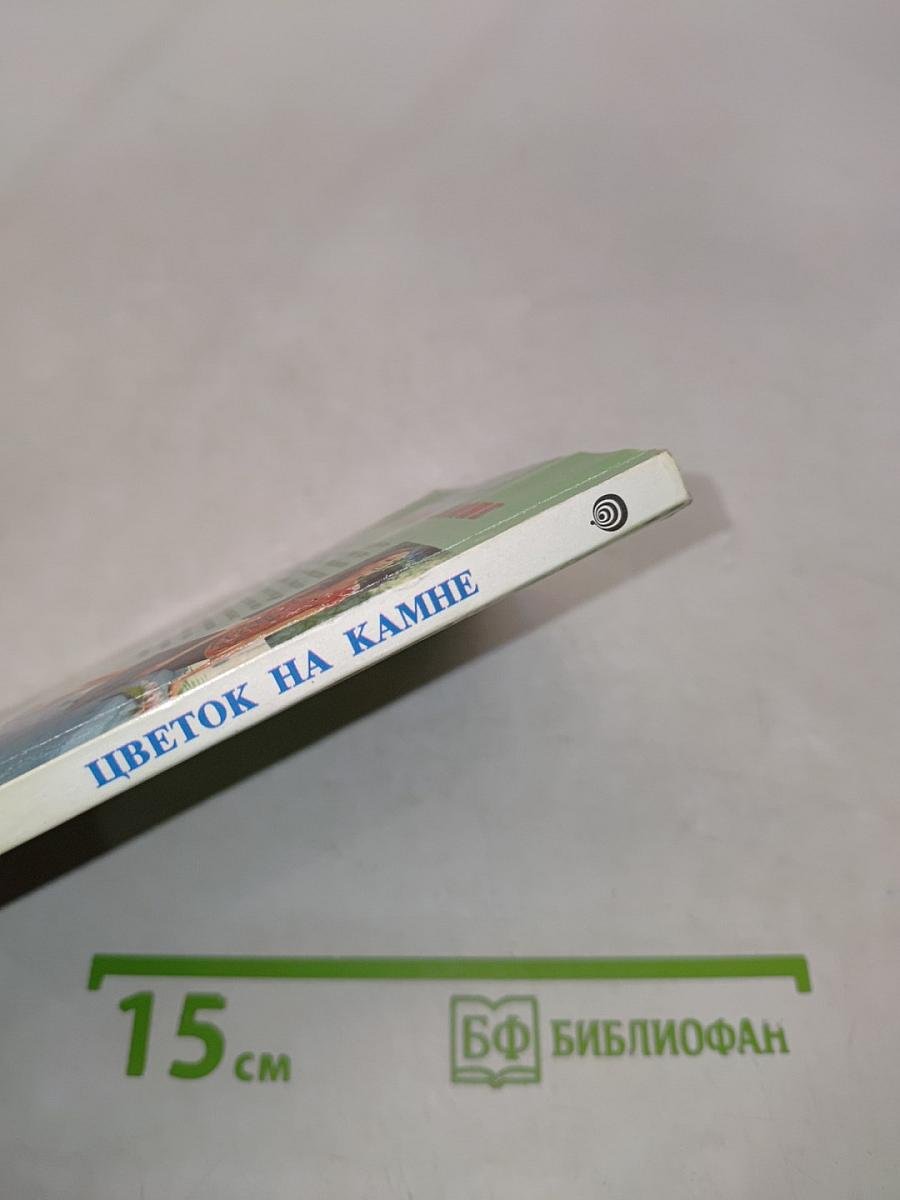 Цветок на камне