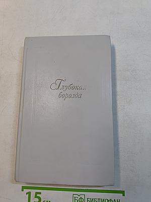 Глубокая борозда