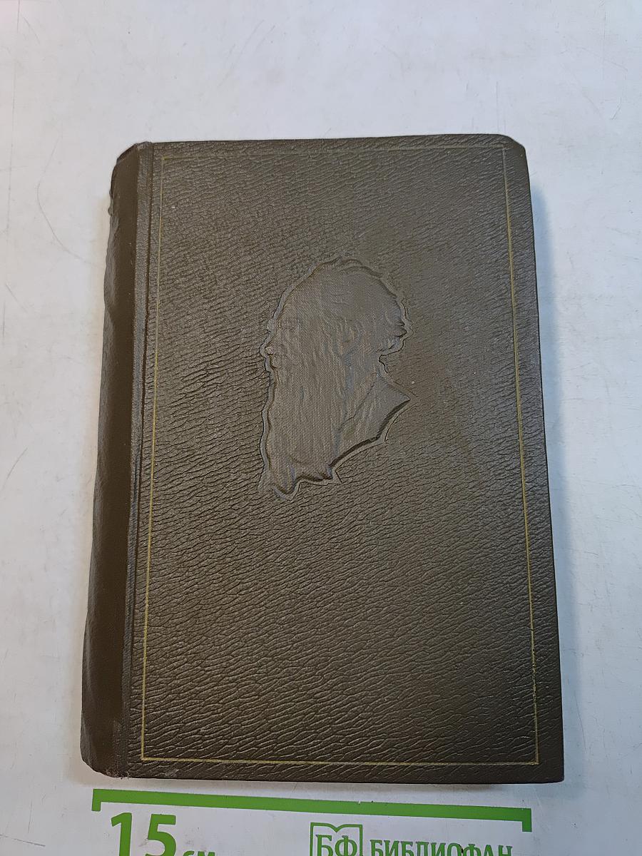 Собрание сочинений. Том семнадцатый. Письма 1845-1886 гг.