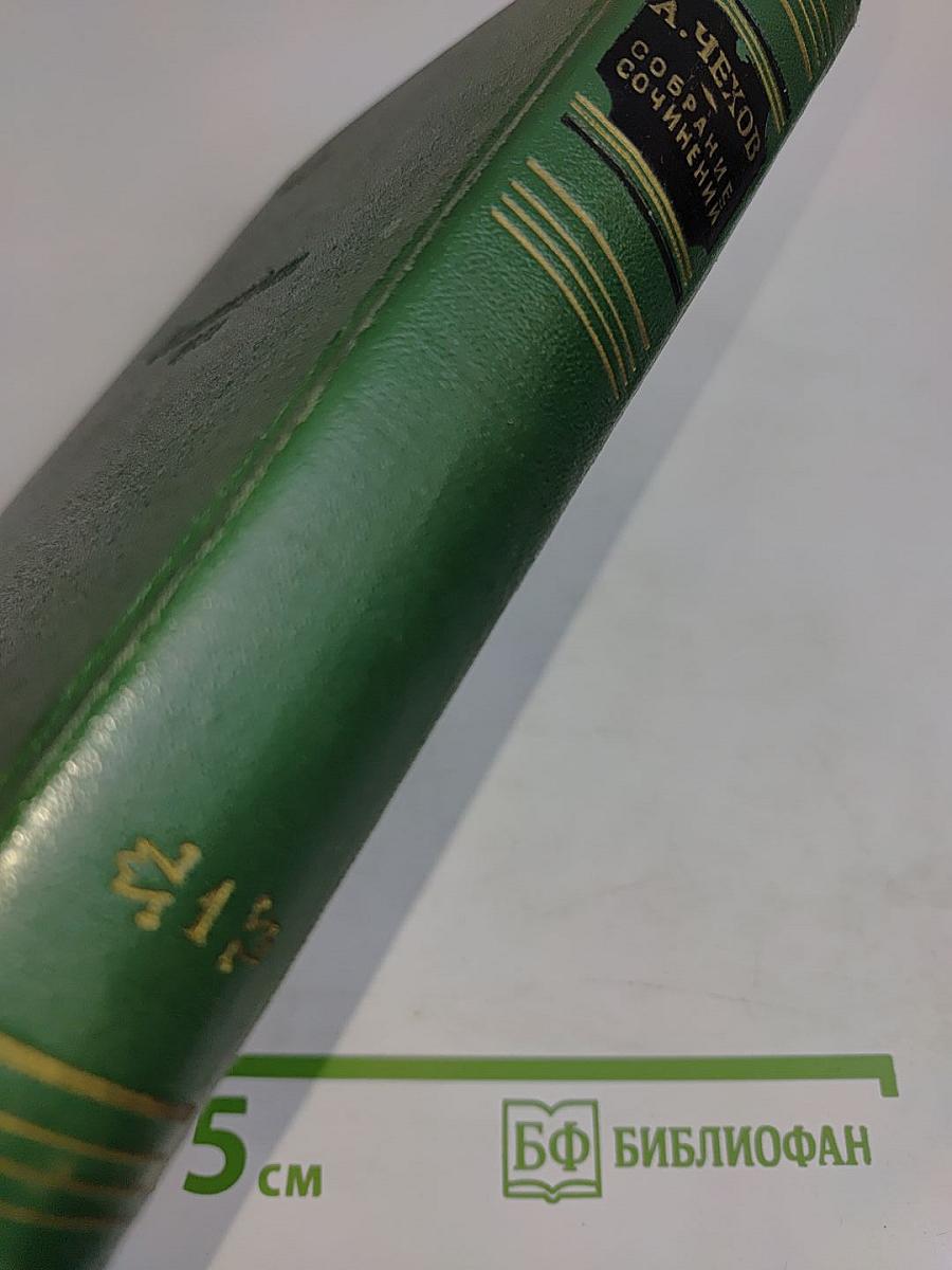 Собрание сочинений. Том первый. Рассказы 1880-1882