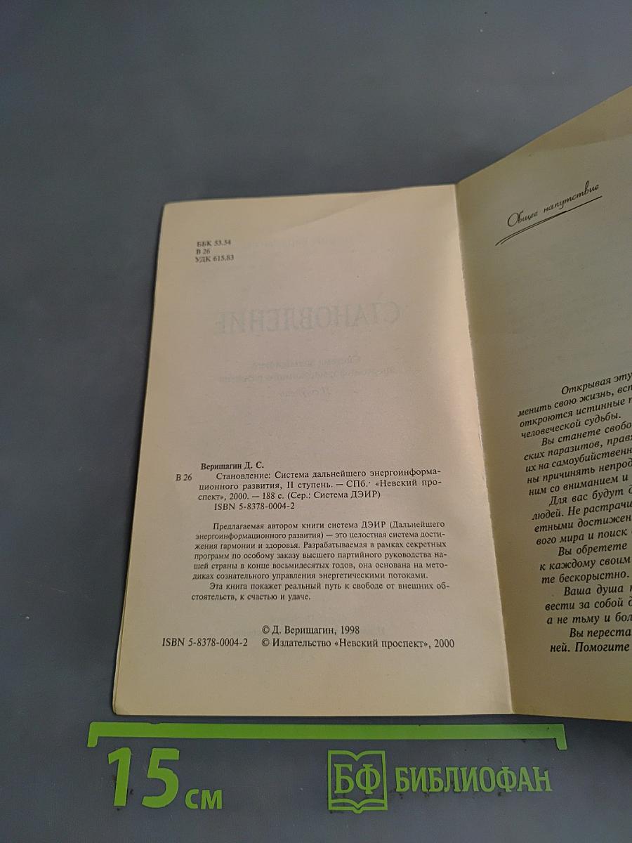 Становление. Система дальнейшего энергоинформационного развития. II ступень