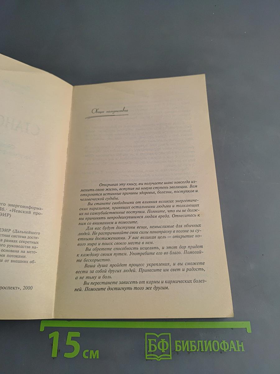 Становление. Система дальнейшего энергоинформационного развития. II ступень