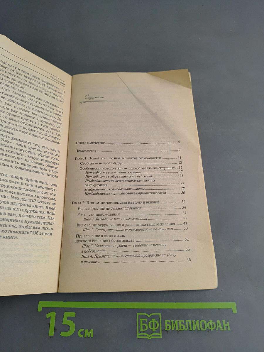 Становление. Система дальнейшего энергоинформационного развития. II ступень