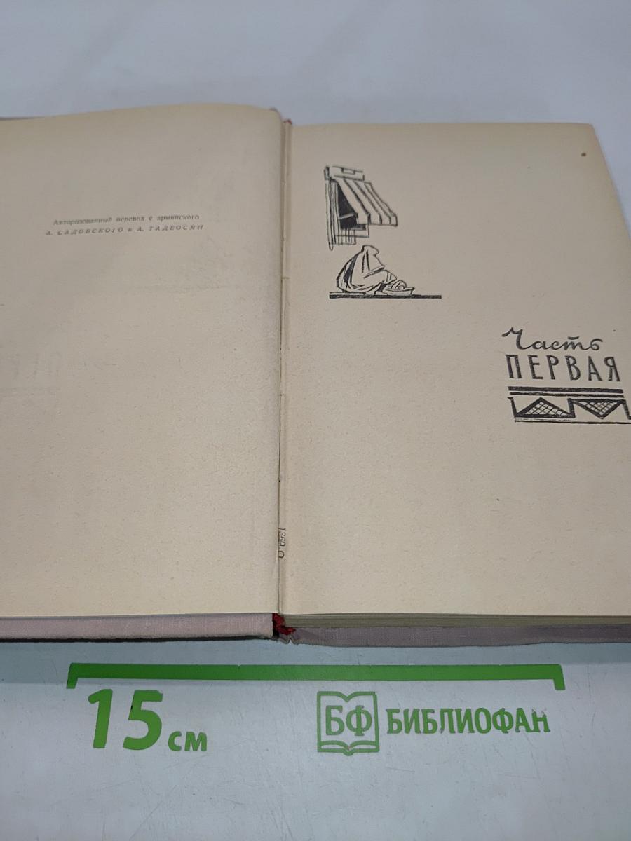 Тегеран. Книга первая. Иранская ночь