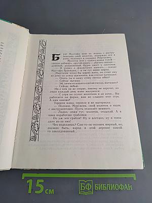 Кожаные башмаки