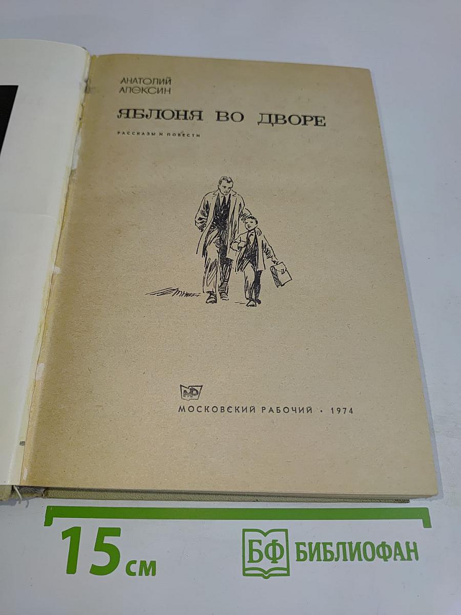 Яблоня во дворе