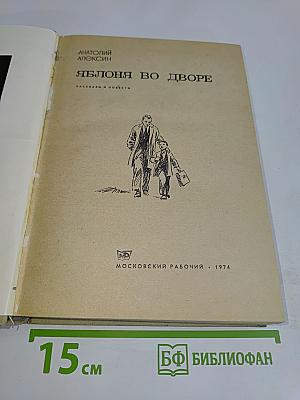 Яблоня во дворе