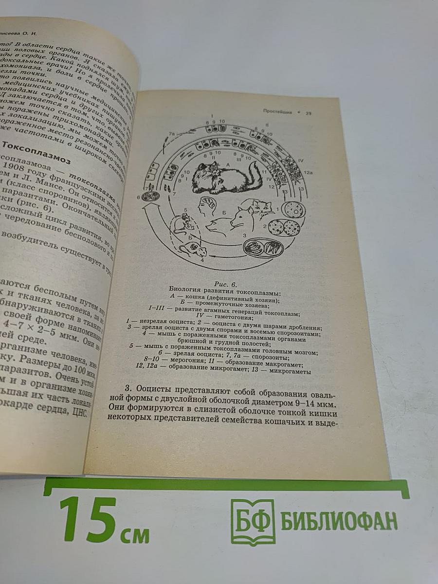 Лечение хронических и онкологических заболеваний. Часть 2. Провокаторы – простейшие, грибы, глисты