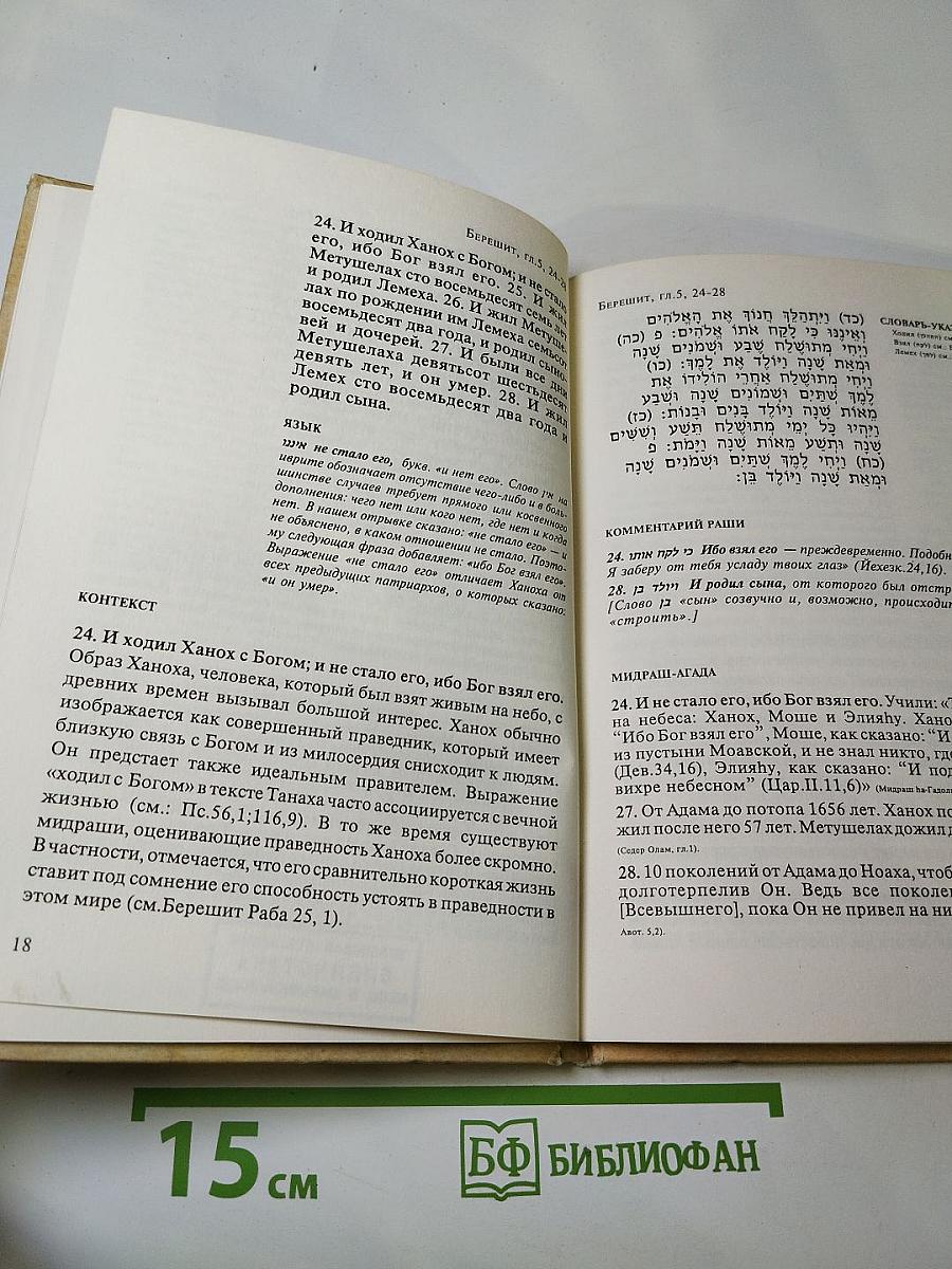 От Адама до Авраама. Это книга порождений Человека. Берешит (Бытие) Гл. 5,1-6,8