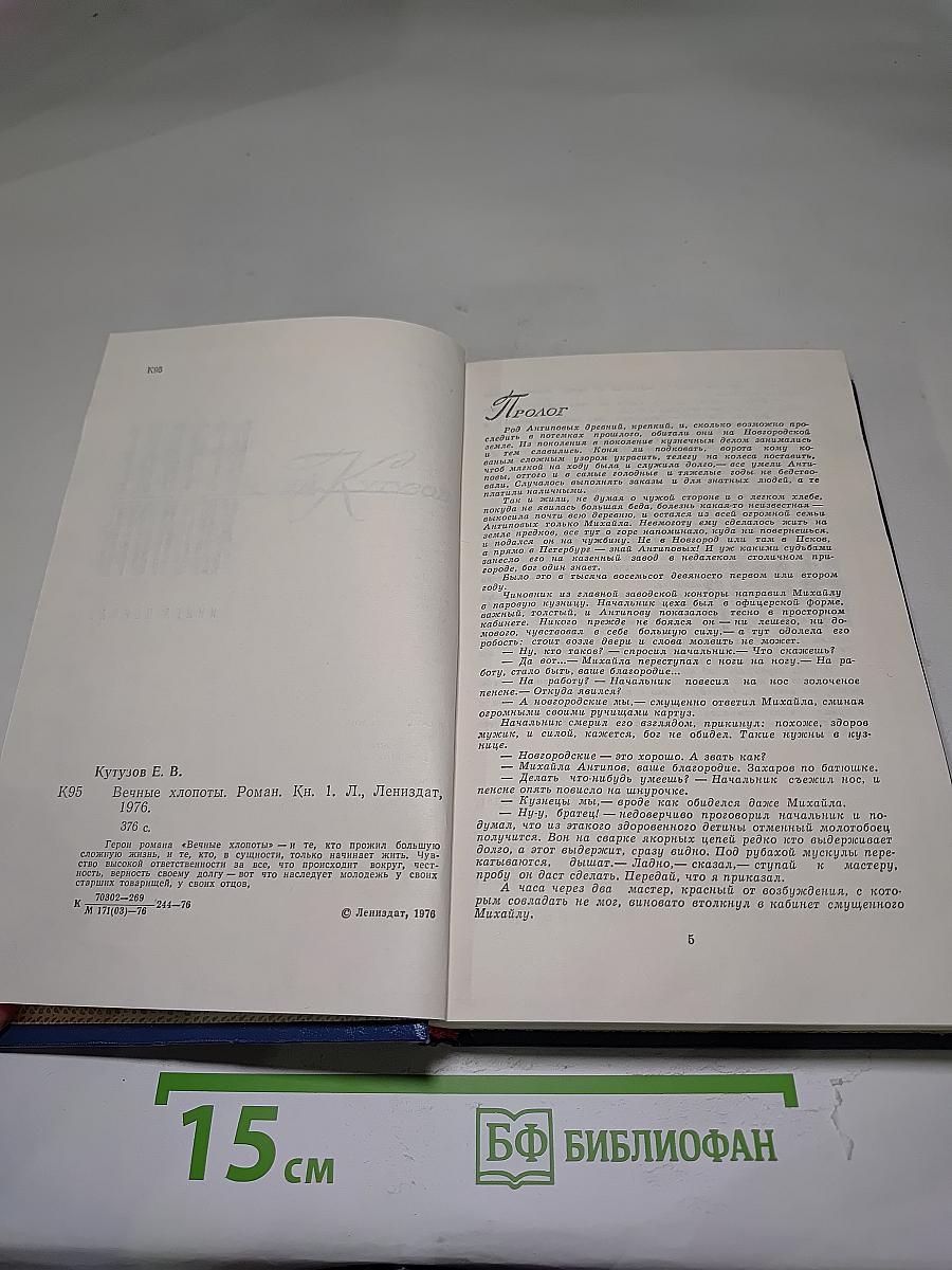 Вечные хлопоты. Книга первая. Роман