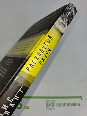 Расколотый разум
