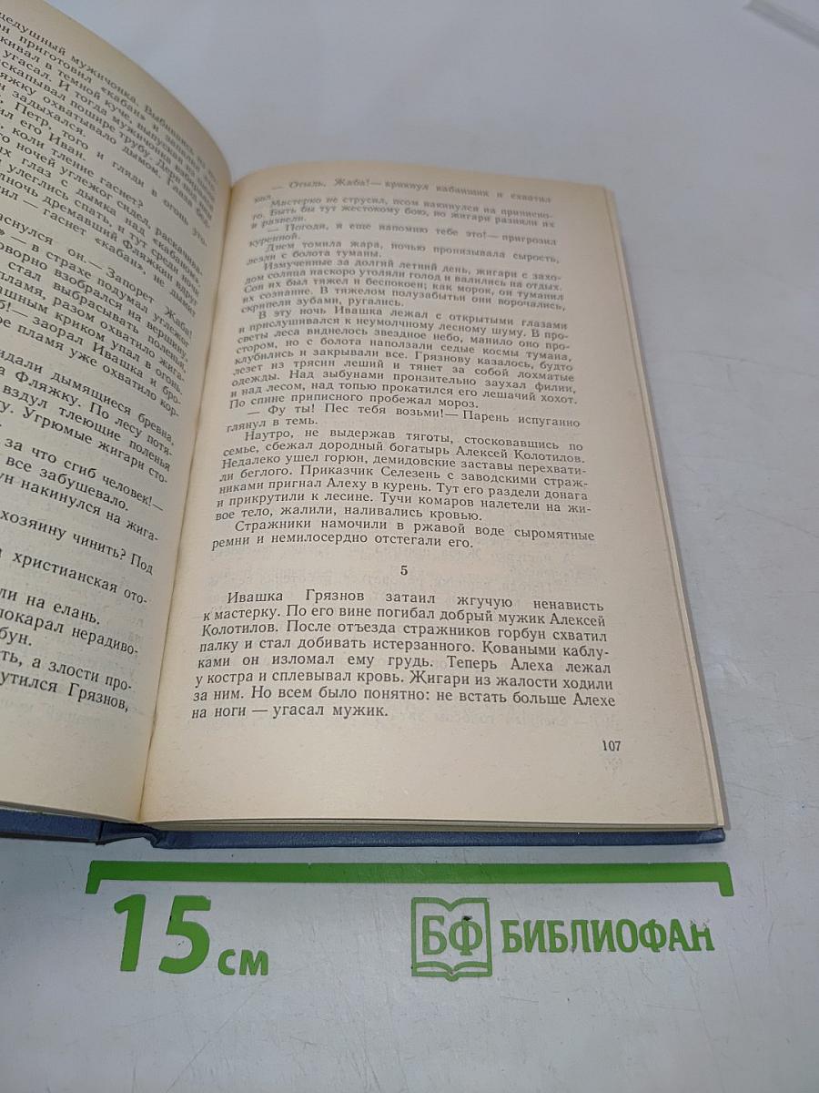 Каменный пояс. Книга вторая. Наследники
