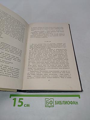 Злая жизнь