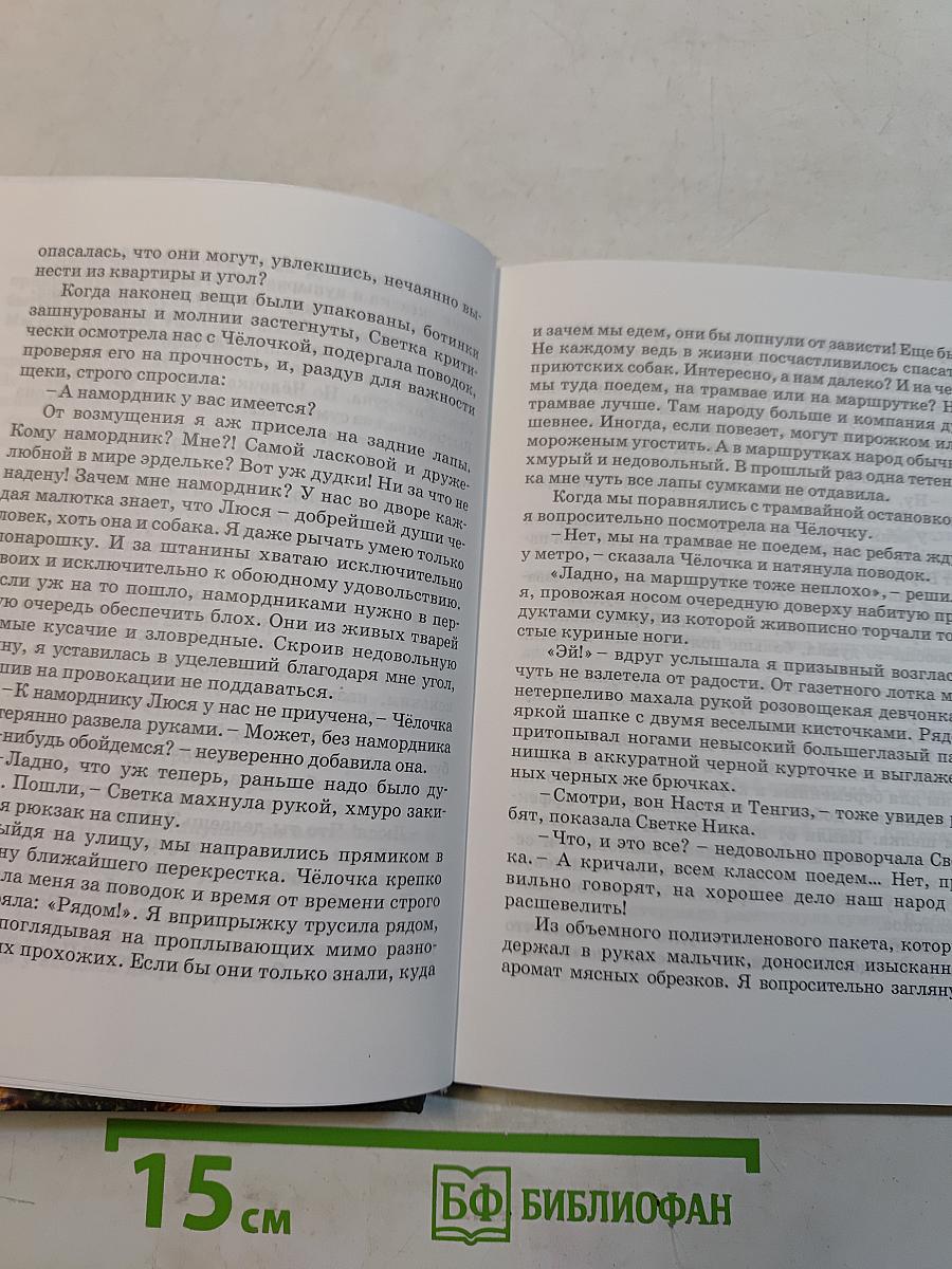 SOS, или Люся спешит на помощь