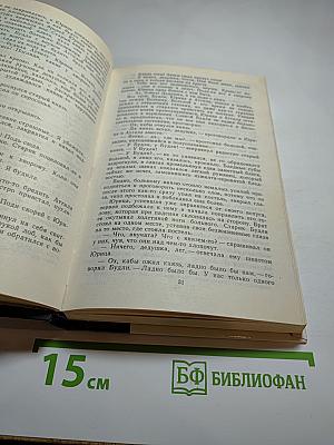 Бич Божий. Миллион. Иоанн Васильевич Грозный