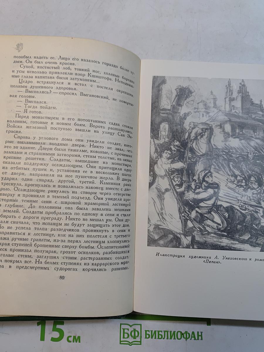 Стефан Жеромский. Избранные сочинения. Том четвертый. Пепел. Часть III. Верная река. Из дневников