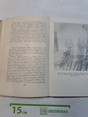 Стефан Жеромский. Избранные сочинения. Том четвертый. Пепел. Часть III. Верная река. Из дневников