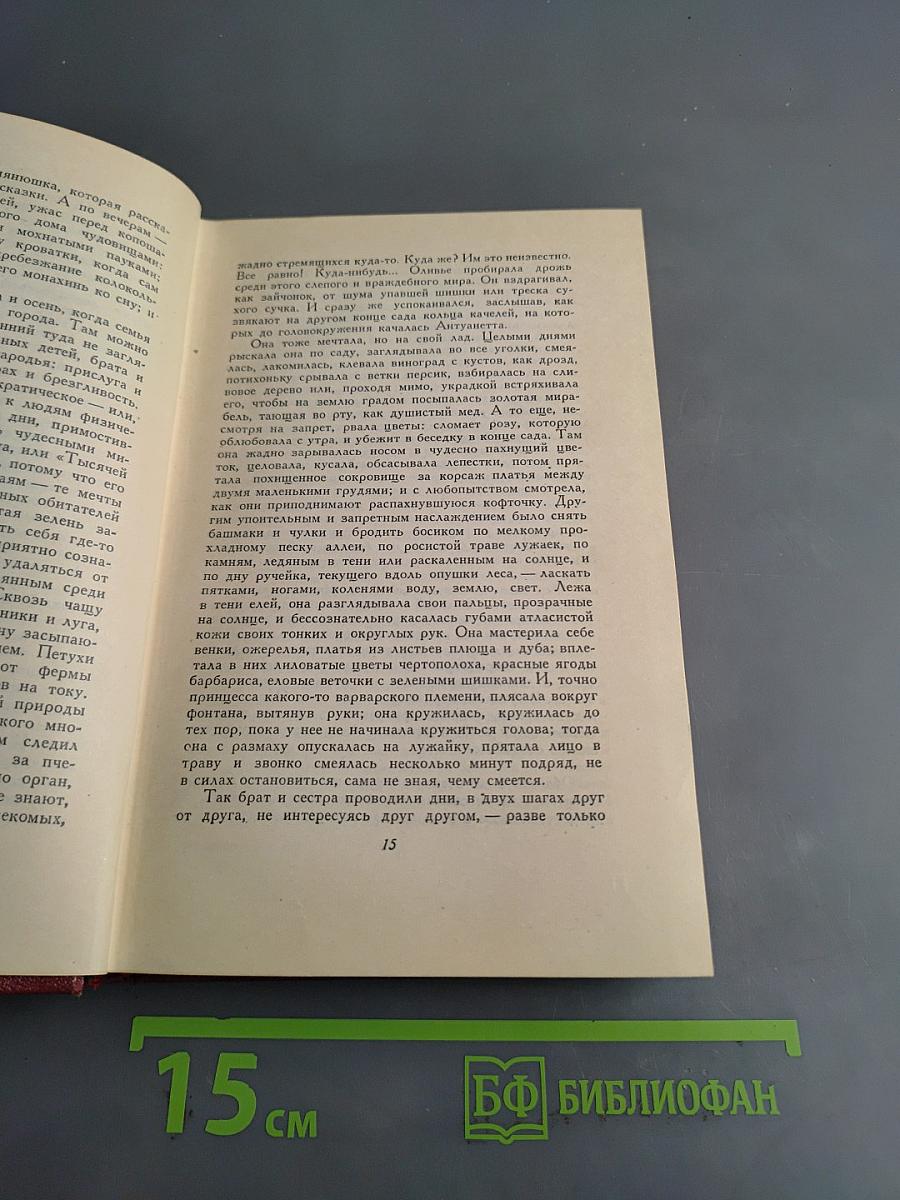 Собрание сочинений. Том пятый. Жан-Кристоф. Книга первая. Колеблящаяся душа, Восходящая заря