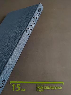 Oper Heute 3: Ein Almanach der Musikbühne