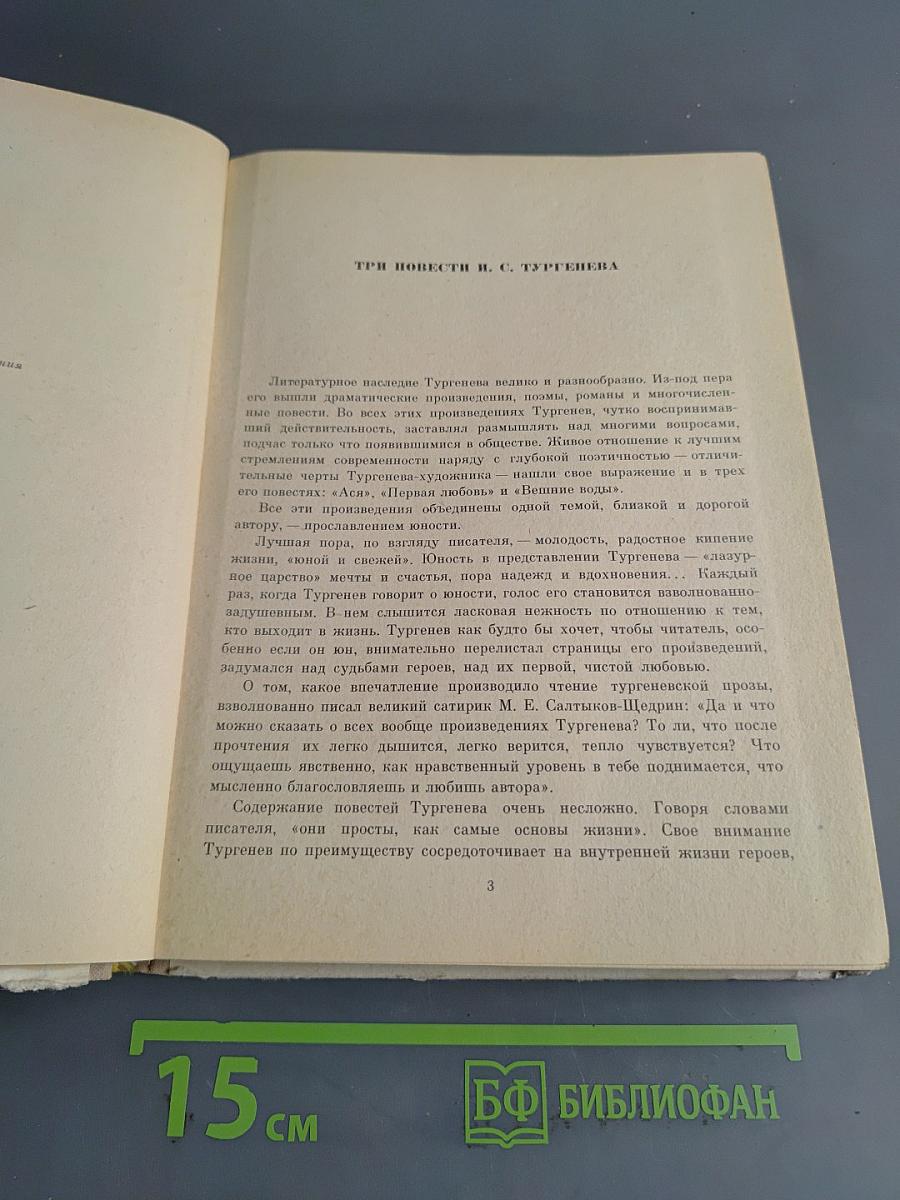 Первая любовь