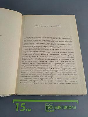 Первая любовь