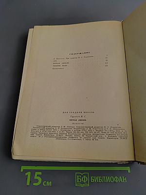 Первая любовь