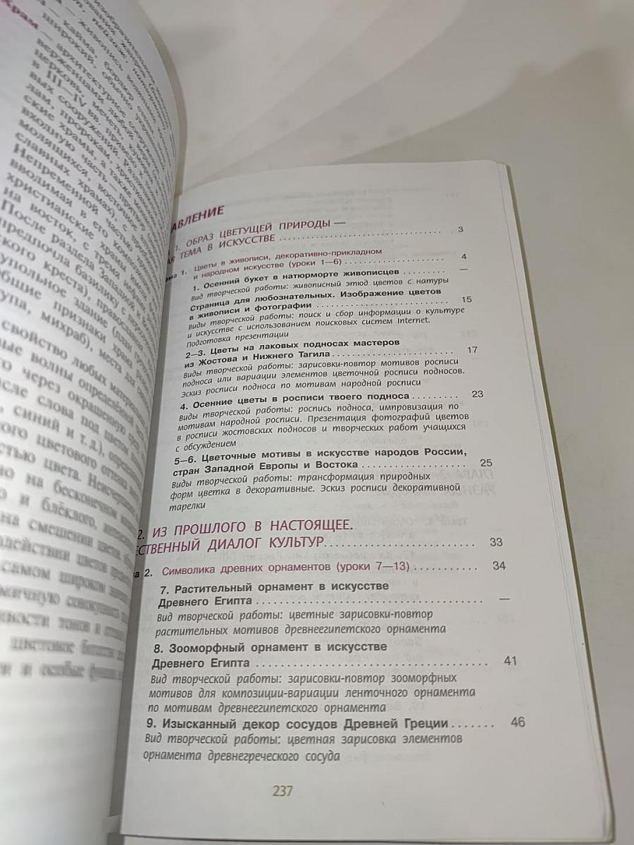 Изобразительное искусство 6 класс