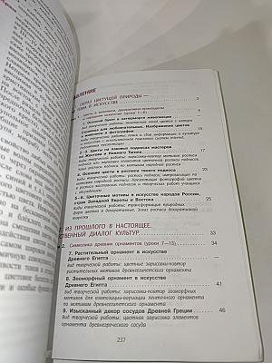 Изобразительное искусство 6 класс