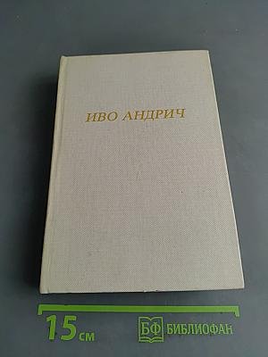 Барышня и Заяц