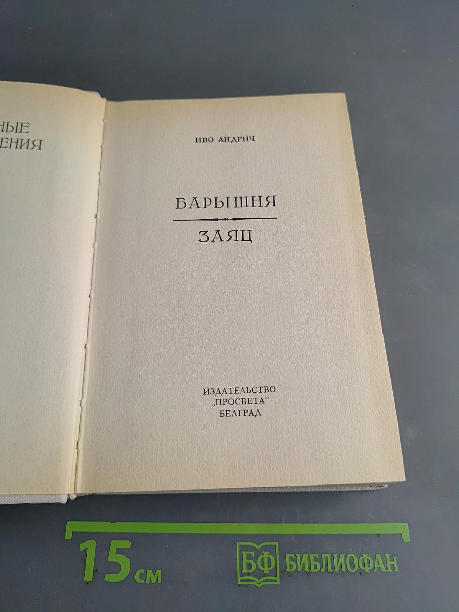 Барышня и Заяц