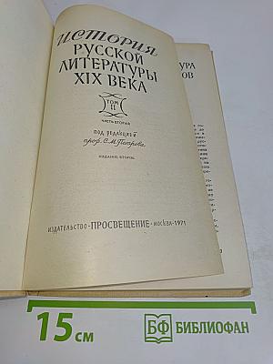 История русской литературы XIX века. Часть вторая