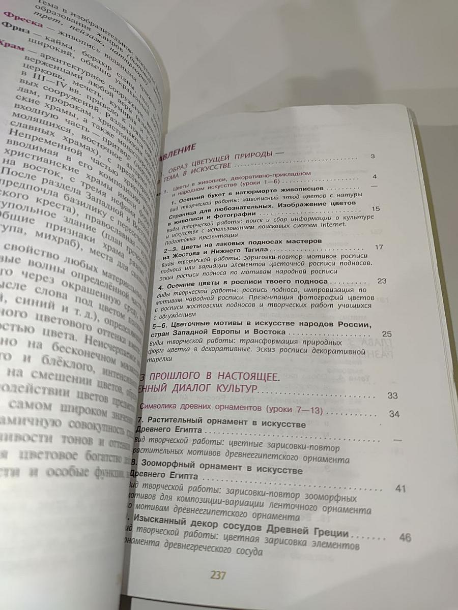 Изобразительное искусство 6 класс