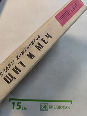 Щит и меч. Книга вторая