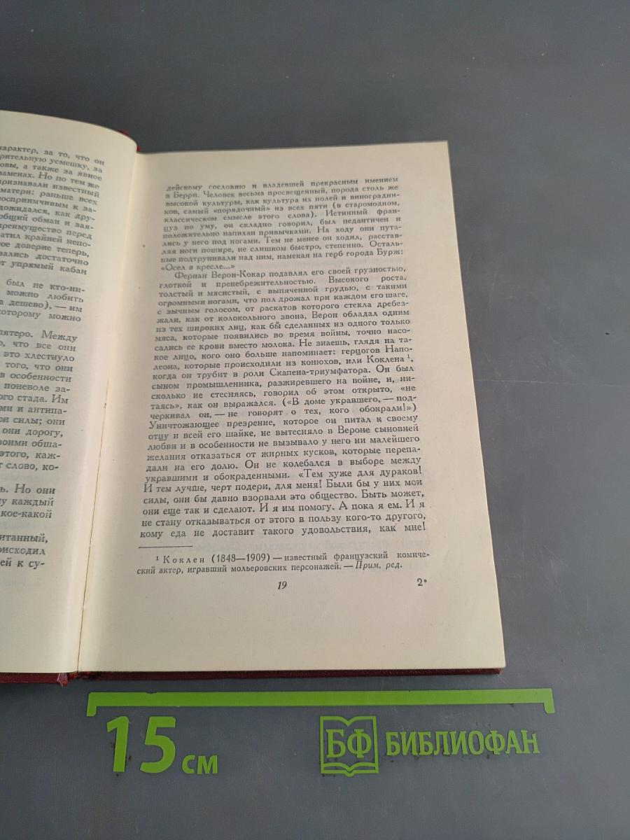 Собрание сочинений. Том десятый. Очарованная душа. Книга четвертая