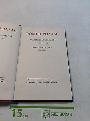Собрание сочинений. Том девятый. Очарованная душа