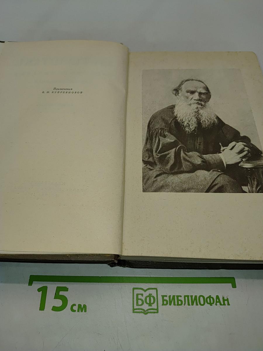 Собрание сочинений в двадцати томах. Том тринадцатый. Воскресение