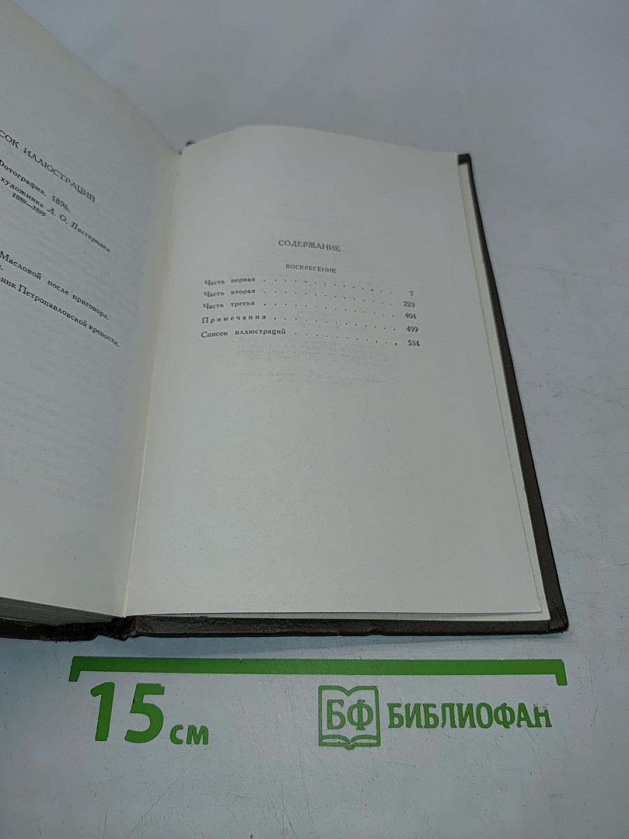 Собрание сочинений в двадцати томах. Том тринадцатый. Воскресение