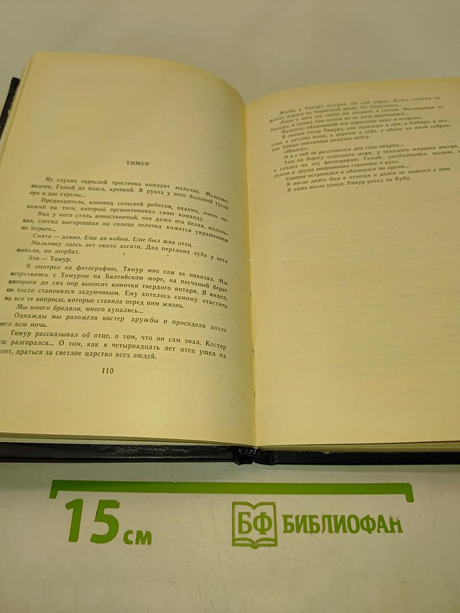 Жизнь поэта