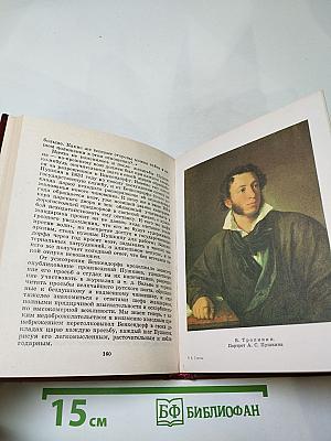 Пушкин и Военная галерея Зимнего дворца