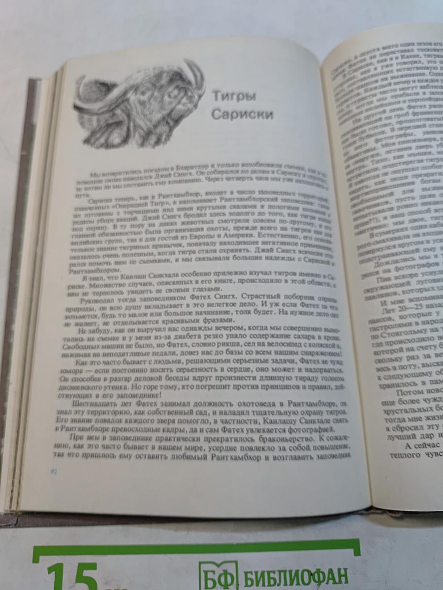 Мир книги джунглей