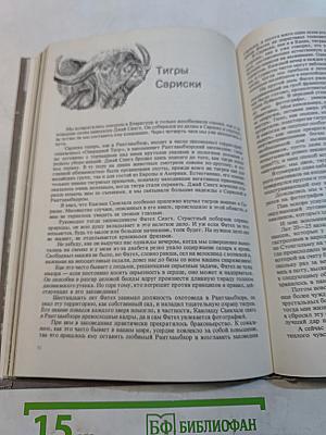 Мир книги джунглей