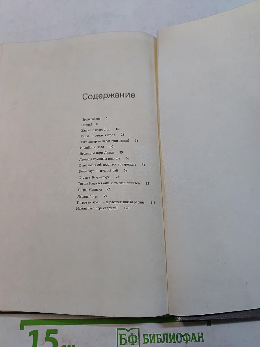Мир книги джунглей