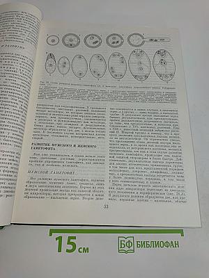 Цветковые растения. Том пятый. Часть первая