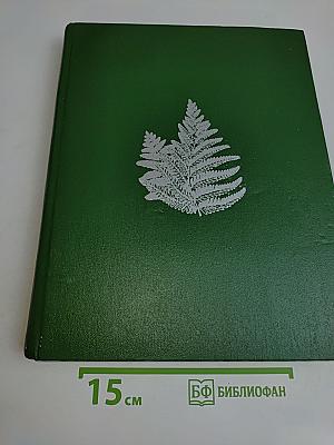 Мхи, плауны, папоротники, голосеменные растения