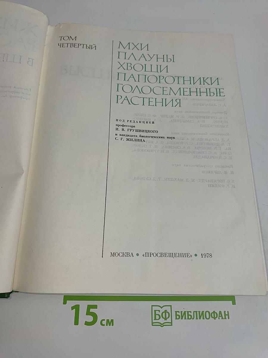 Мхи, плауны, папоротники, голосеменные растения