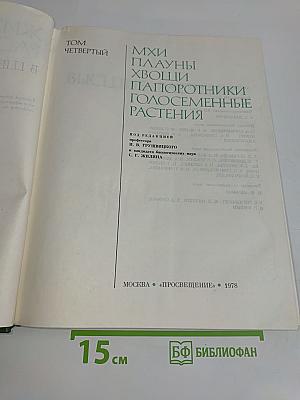 Мхи, плауны, папоротники, голосеменные растения