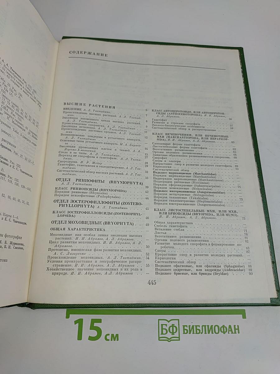 Мхи, плауны, папоротники, голосеменные растения