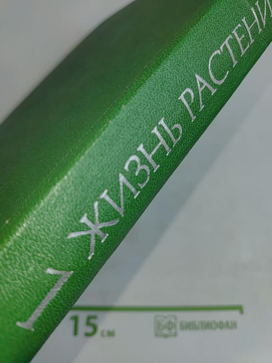 Введение в бактерии и актиномицеты