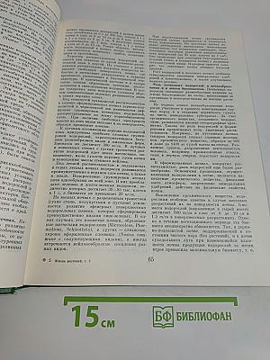 Водоросли. Лишайники